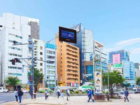 おススメ看板