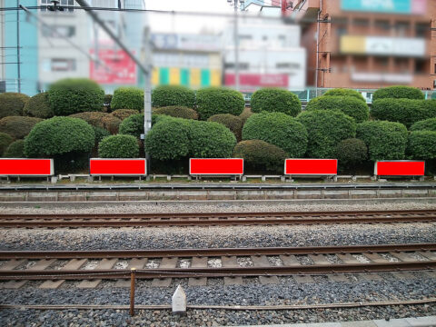 おススメ看板