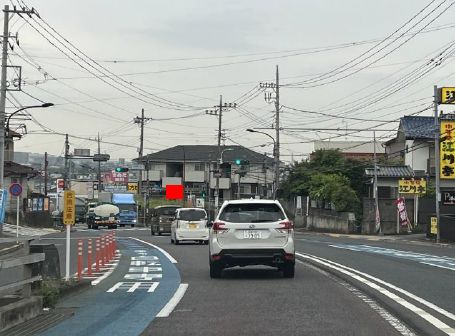 メディア紹介画像