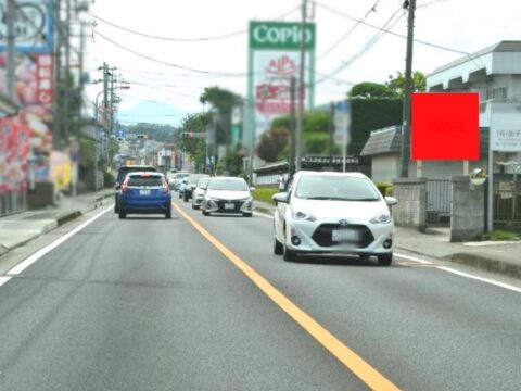 おススメ看板