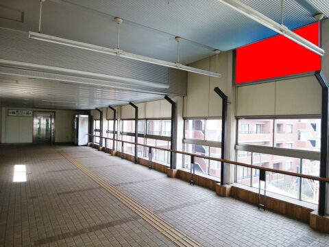 おススメ看板