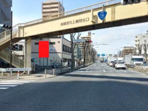 おススメ看板