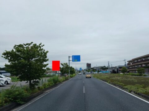 メディア紹介画像