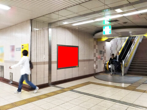 おススメ看板
